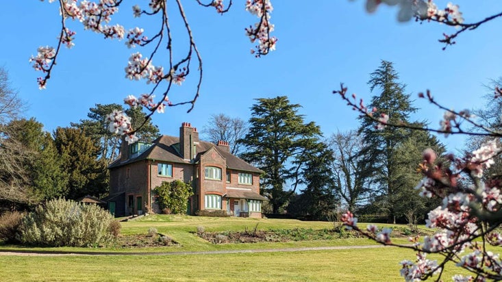 The garden at Shaw's Corner leads to the back of the Edwardian house. Stems of flowering plum blossom frames the shot